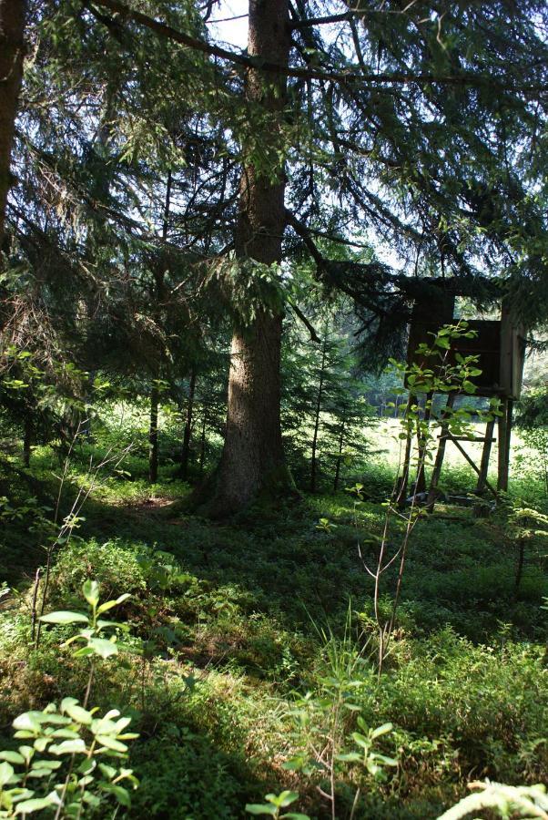 Gaestehaus Wuehrer Franking Exteriér fotografie